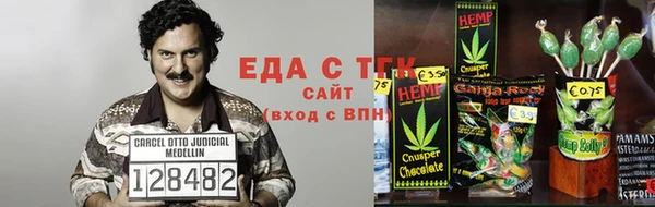 крисы Алзамай