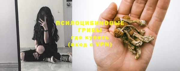 прущие крисы Абдулино