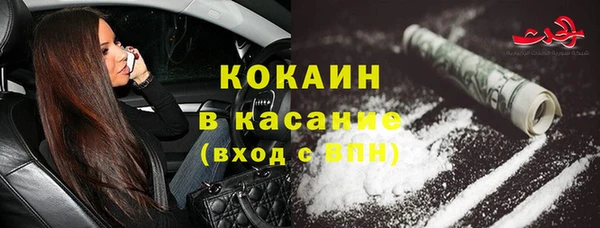 гидра Алексин